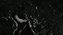 Glossy Marquinia Black - 0185P