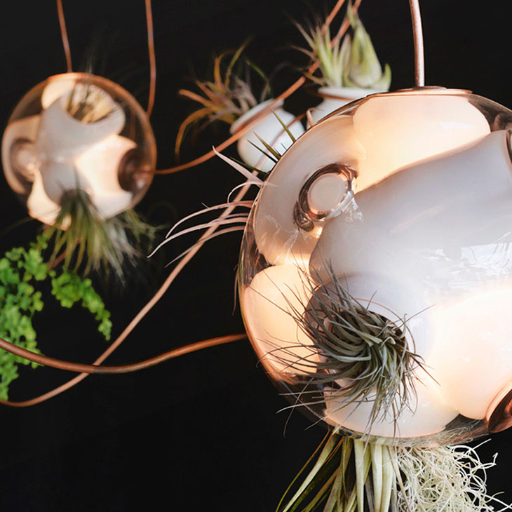 cluster of bocci 38 series copper pendant lights with air plants