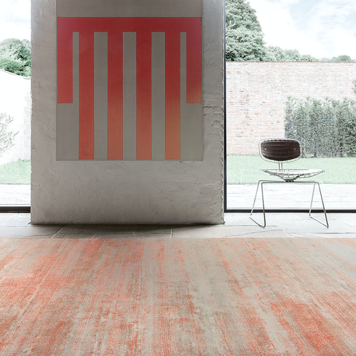 limited edition trendy rug in a stark room with a view of the backyard