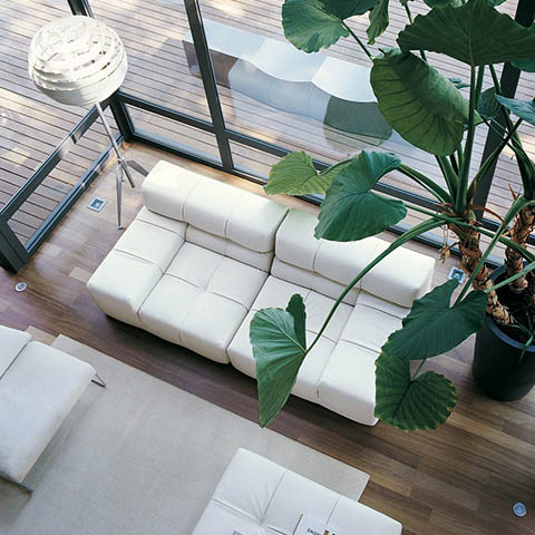 bird's eye view modern living room featuring b&b italia tufty time sofa