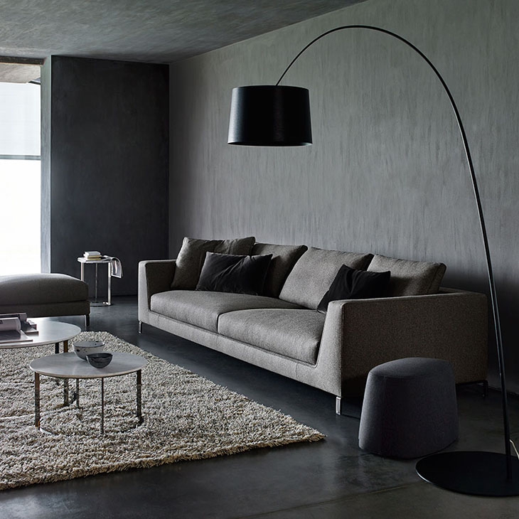 modern living room featuring b&b italia ray sofa