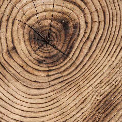 wood circles